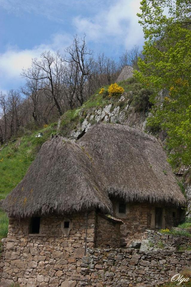 Apartamentos Rurales Casa Marcelo Veigas エクステリア 写真